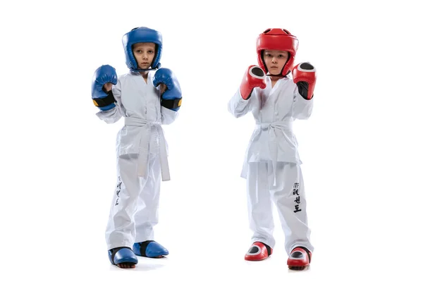 Studioaufnahme von zwei kleinen Kindern, Jungen, Taekwondo-Athleten in Doboks und Sportuniformen isoliert auf weißem Hintergrund. — Stockfoto