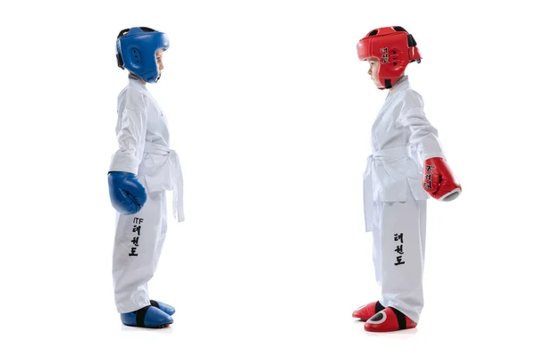 Zwei kleine Kinder, Jungen, Taekwondo-Athleten, die isoliert vor weißem Studiohintergrund zusammen trainieren. Konzept von Sport, Bildung, Fertigkeiten — Stockfoto