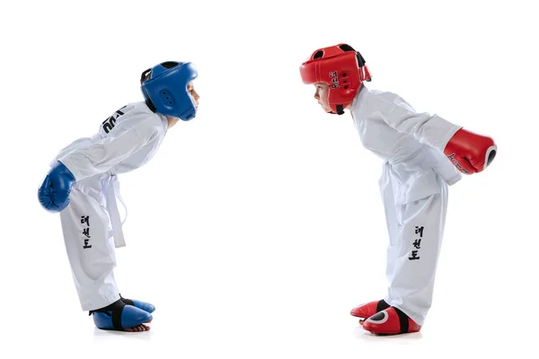 Két kisgyerek, fiúk, taekwondo sportolók edzés együtt elszigetelt fehér stúdió háttér. A sport, az oktatás és a készségek fogalma — Stock Fotó