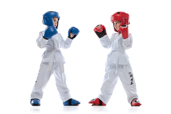 Stúdió lövés két kisgyerek, fiúk, taekwondo sportolók visel doboks és sport egyenruha elszigetelt fehér háttér. — Stock Fotó