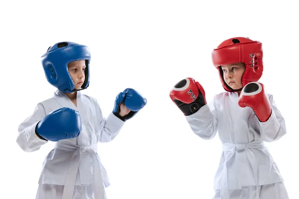 Studio shot of two little kids, boys, taekwondo athletes wearing doboks and sports uniforms isolated on white background. — Fotografia de Stock