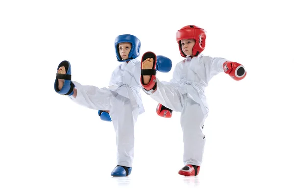 Studioaufnahme von zwei kleinen Kindern, Jungen, Taekwondo-Athleten in Doboks und Sportuniformen isoliert auf weißem Hintergrund. — Stockfoto