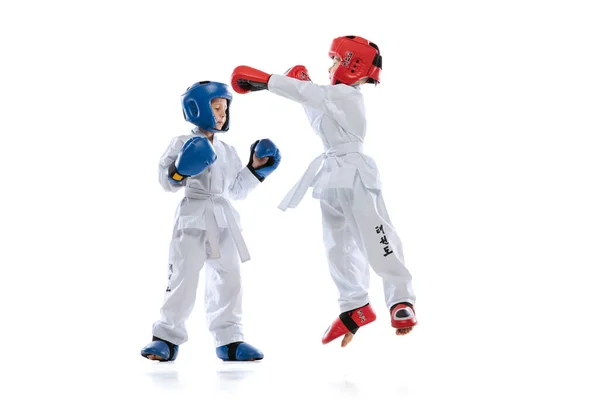 Two little kids, boys, taekwondo athletes training together isolated over white studio background. Concept of sport, education, skills — Stock Photo, Image