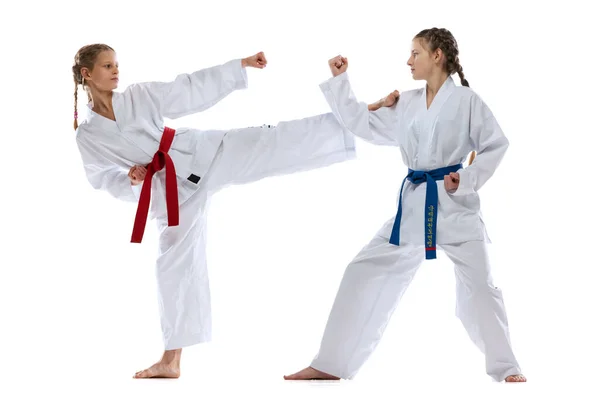 Retrato dinámico de chicas jóvenes, adolescentes, atletas de taekwondo practicando juntos aislados sobre fondo blanco. Concepto de deporte, educación, habilidades — Foto de Stock