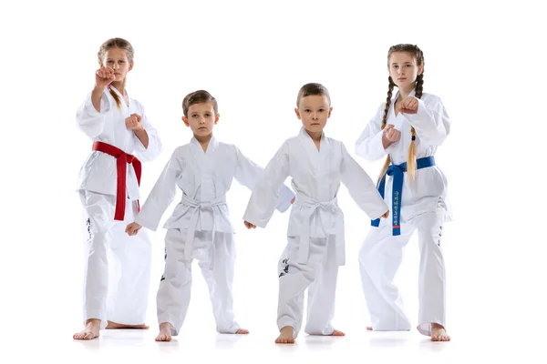 Group of young sportsmen, taekwondo athletes wearing doboks and sports uniforms standing isolated on white background. — ストック写真