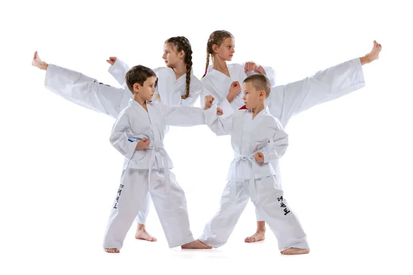 Group of young sportsmen, taekwondo athletes wearing doboks and sports uniforms standing isolated on white background. — Stock Fotó