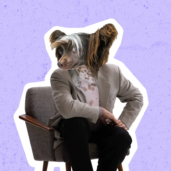 Obra de arte contemporáneo, collage conceptual. Hombre encabezado por cabeza de perro sentado en sillón. Colores de moda. — Foto de Stock