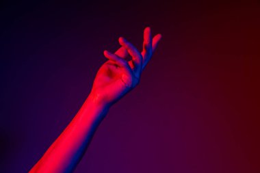 Mor stüdyo arka planında neon ışıkta izole edilmiş aetentik insan ellerinin stüdyo çekimi. İnsan ilişkileri, toplum, birliktelik kavramı