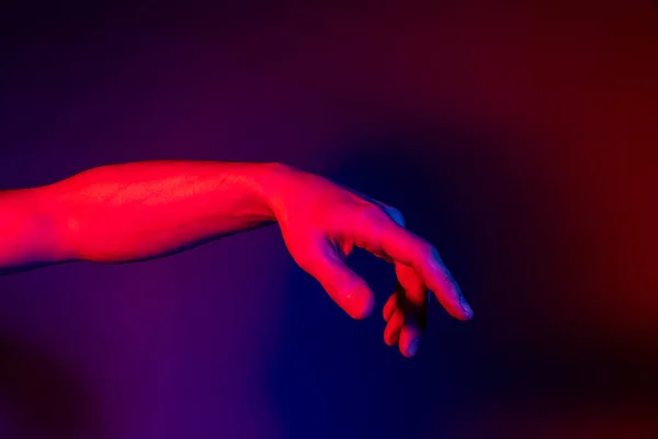 스튜디오는 네온 빛의 보라색 스튜디오 배경에서 분리 된 사람들의 손을 촬영했습니다. 인간 관계, 공동체, 협력의 개념 — 스톡 사진