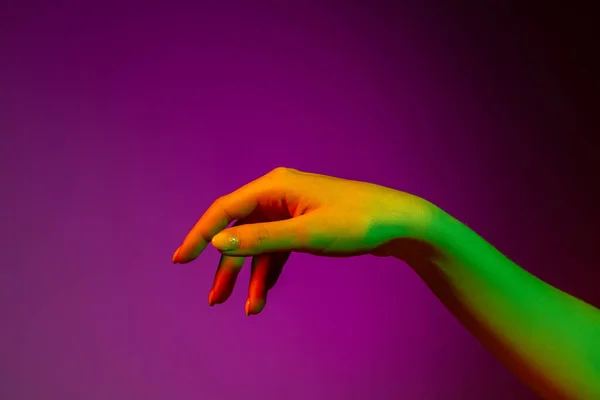 ネオンの光の中で紫のスタジオの背景に隔離された美しい人間の手のスタジオショット。人間関係、共同体、共同体の概念 — ストック写真
