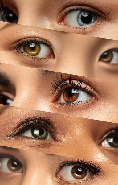 Collage. Conjunto de ojos hermosos femeninos de primer plano. Mirando hacia otro lado. Belleza natural, bienestar, piel bien cuidada, concepto de cosméticos a base de hierbas —  Fotos de Stock