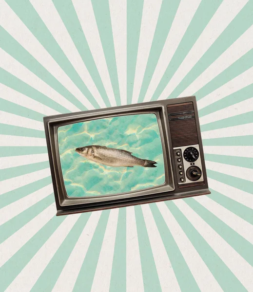 Collage de arte contemporáneo y diseño moderno. Pescado en retro tv set. Concepto de idea, inspiración, creatividad y arte. Minimalismo —  Fotos de Stock