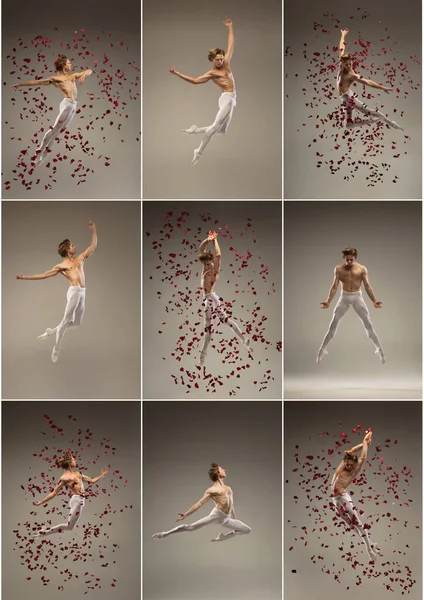 Collage med flexibel manlig balett dansare dans isolerad på grå studio bakgrund. Konst, rörelse, handling, flexibilitet, inspirationskoncept. — Stockfoto