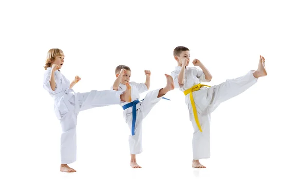 Grupo de niños, niños, atletas taekwondo usando doboks entrenando juntos aislados sobre fondo blanco. Concepto de deporte, artes marciales — Foto de Stock