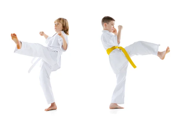 Retrato dinámico de dos niños pequeños, atletas de taekwondo o karate que usan doboks entrenando juntos aislados sobre fondo blanco. Concepto de deporte, artes marciales — Foto de Stock