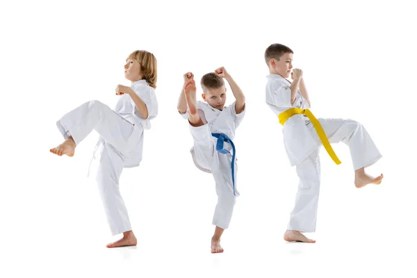 Gyerekek, fiúk, taekwondo sportolók, akik dobokot viselnek, együtt edzenek, elszigetelve a fehér háttértől. A sport, a harcművészetek fogalma — Stock Fotó