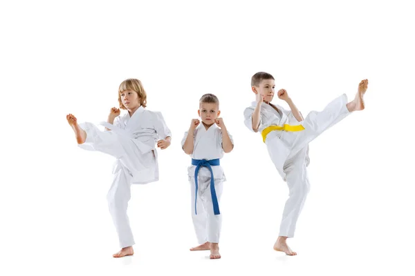 Grupo de crianças, meninos, atletas de taekwondo usando doboks treinando juntos isolados em fundo branco. Conceito de esporte, artes marciais — Fotografia de Stock