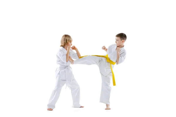 Retrato dinámico de dos niños pequeños, atletas de taekwondo o karate que usan doboks entrenando juntos aislados sobre fondo blanco. Concepto de deporte, artes marciales —  Fotos de Stock