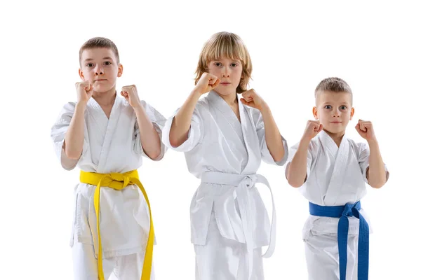 Tres niños deportivos, niños pequeños, taekwondo o atletas de karate en doboks posando aislados sobre fondo blanco. Concepto de deporte, artes marciales — Foto de Stock