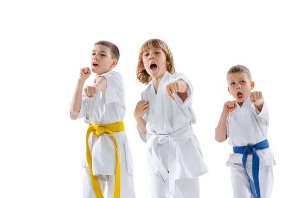 Τρία αθλητικά παιδιά, μικρά αγόρια, taekwondo ή αθλητές καράτε σε doboks θέτουν απομονώνονται σε λευκό φόντο. Έννοια του αθλητισμού, πολεμικές τέχνες — Φωτογραφία Αρχείου