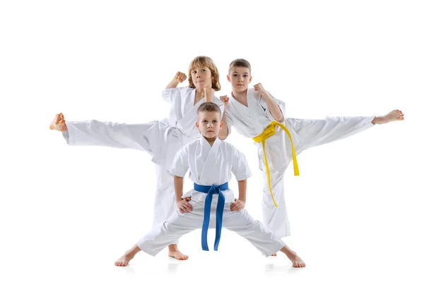 白い背景に隔離されたポーズのドックで3人のスポーティな子供、男の子、 taekwondoまたは空手選手。スポーツ、武道の概念 — ストック写真