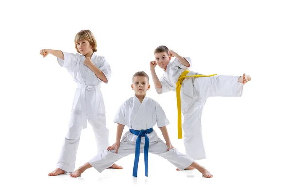 Grupo de niños, niños, atletas taekwondo usando doboks entrenando juntos aislados sobre fondo blanco. Concepto de deporte, artes marciales — Foto de Stock