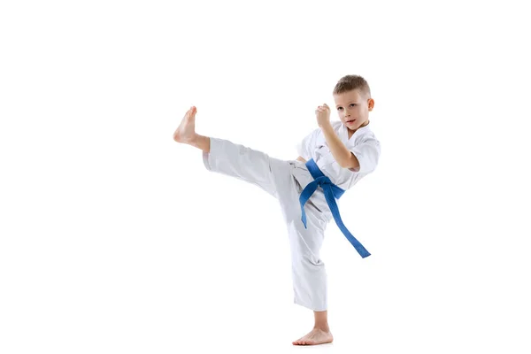 Um rapazinho desportivo, atletas de taekwondo a usar rabos a praticarem sozinhos, isolados no fundo branco. Conceito de esporte, artes marciais — Fotografia de Stock