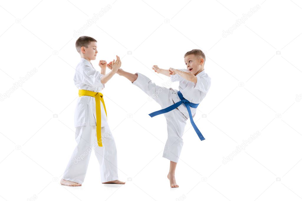 Dynamic portrait of two little boys, taekwondo or karate athletes wearing doboks training together isolated on white background. Concept of sport, martial arts