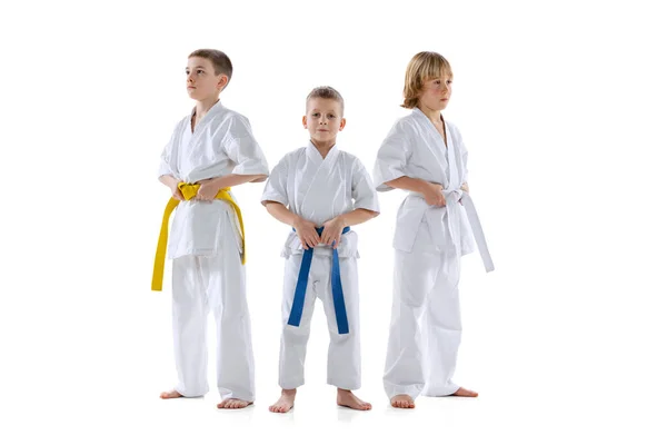 三个喜欢运动的孩子，小男孩，跆拳道运动员或空手道运动员，穿着道琼斯的衣服，在白色背景下显得孤立无援。体育、武术的概念 — 图库照片