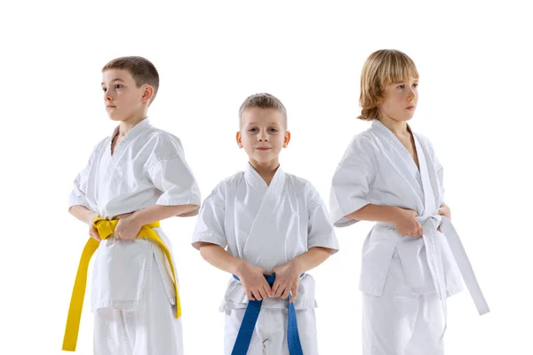 特写三个有运动能力的孩子，小男孩、跆拳道运动员或空手道运动员，穿着道琼斯的衣服，在白色背景下显得孤立无援。体育、武术的概念 — 图库照片