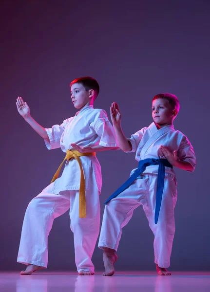 Δύο αθλητικά παιδιά, μικρά αγόρια, taekwondo ή αθλητές καράτε σε doboks θέτουν απομονώνονται σε πολύ peri χρώμα φόντο σε νέον. Έννοια του αθλητισμού, πολεμικές τέχνες — Φωτογραφία Αρχείου