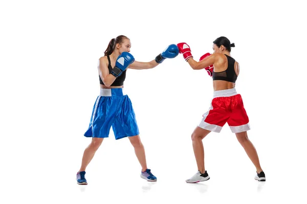 Due pugili professionisti donna boxe isolato su sfondo bianco studio. Un paio di atleti caucasici muscolosi in forma che combattono. Sport, competizione — Foto Stock