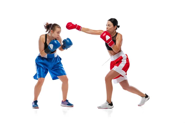 Retrato dinâmico de duas mulheres boxeadoras profissionais boxe isolado em fundo estúdio branco. Um par de atletas musculosos caucasianos a lutar. Desporto, competição — Fotografia de Stock