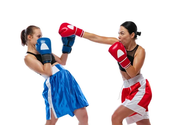 Dos boxeadoras profesionales de boxeo aisladas sobre fondo de estudio blanco. Un par de atletas caucásicos musculosos en forma peleando. Deporte, competición — Foto de Stock