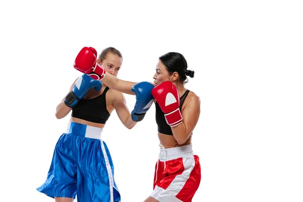 Retrato dinâmico de duas mulheres boxeadoras profissionais boxe isolado em fundo estúdio branco. Um par de atletas musculosos caucasianos a lutar. Desporto, competição — Fotografia de Stock