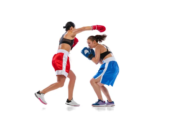 두 명의 여성 프로 권투 선수들 이 화이트 스튜디오 배경에서 고립되어 훈련받고 있습니다. 스포츠 유니폼을 입고 싸우는 건장 한 여자들. 스포츠, 경쟁 — 스톡 사진