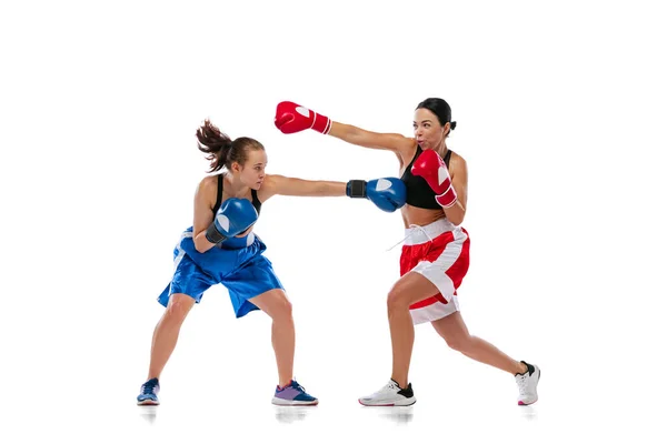 Duas mulheres boxeadores profissionais boxe isolado no fundo do estúdio branco. Um par de atletas musculosos caucasianos a lutar. Desporto, competição — Fotografia de Stock