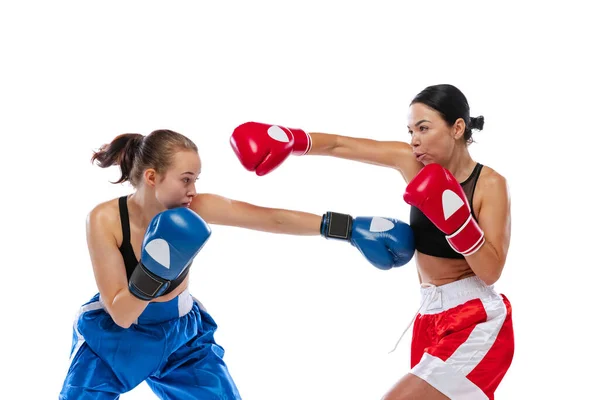 Beyaz stüdyo arka planında izole edilmiş iki kadın boksörün dinamik portresi. Bir çift kaslı beyaz sporcu dövüşüyor. Spor, yarışma — Stok fotoğraf
