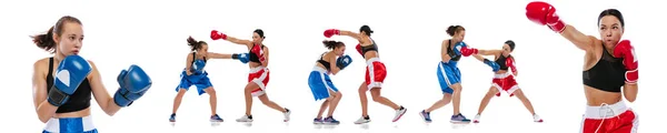 Colagem. Duas mulheres boxeadores profissionais boxe isolado no fundo do estúdio branco. Um par de atletas musculosos caucasianos a lutar. Desporto, competição — Fotografia de Stock