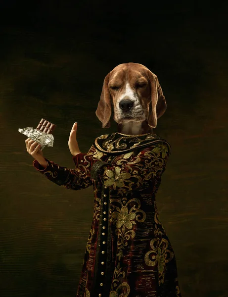 Female model like medieval royalty person in vintage clothing headed by dog head isolated on dark retro background. Concept of comparison of eras, artwork. Surrealism — Stock Photo, Image