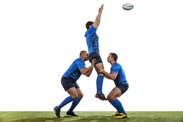 Dynamisch portret van mannelijke rugbyspelers spelen rugby voetbal op grasveld geïsoleerd op witte achtergrond. Sport, activiteit, gezondheid, hobby, beroep — Stockfoto