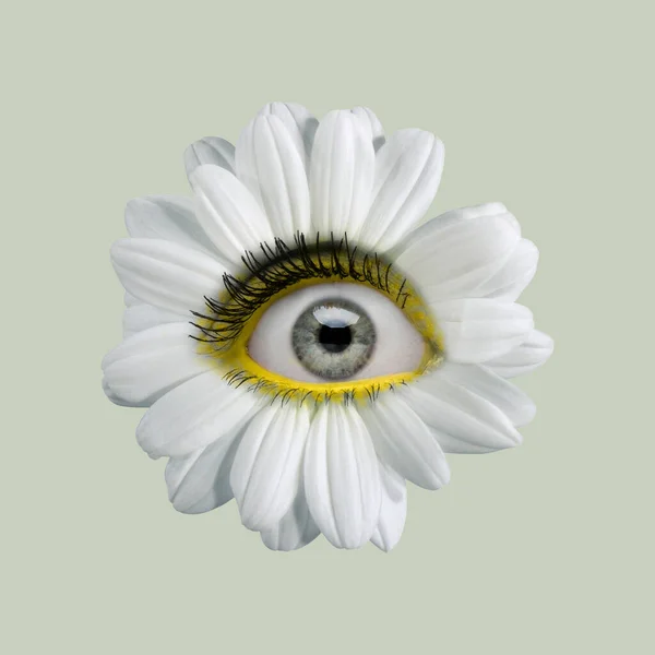 Weiße Kamillenblüte mit einem Auge darin auf hellem Hintergrund. Modernes Design. Zeitgenössische Kunst. Kreative Collage. Schönheit, Kunst, Vision, Mode — Stockfoto