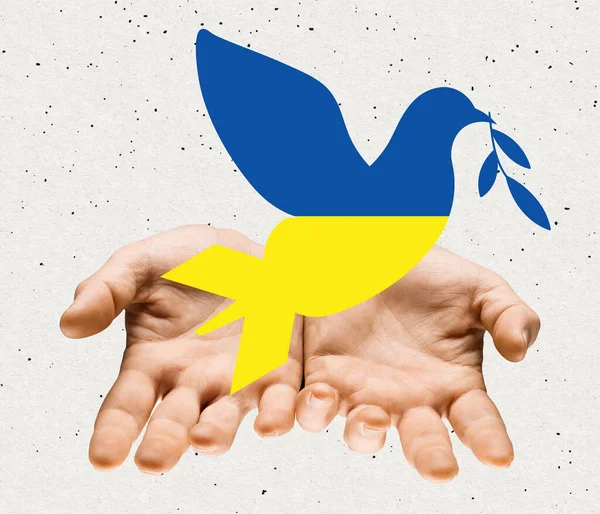 Hedendaagse kunst collage. Mannelijke handen houden duif bedekt met Oekraïense vlag kleuren symboliseren vrede — Stockfoto