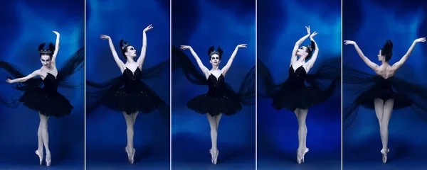 Koláž. Portréty mladé umělecké ženy, baletní tanečnice vystupující na jevišti v obrazu Černé labutě izolované nad modrým pozadím — Stock fotografie