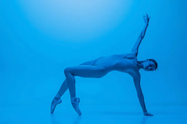 Retrato de una hermosa bailarina de ballet elegante posando aislada sobre fondo de estudio azul en luz de neón. Arte, movimiento, acción, flexibilidad. — Foto de Stock