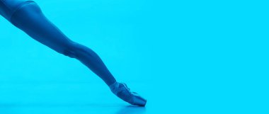 Yakın plan balerinlerin bacakları donanma renklerinde neon renkli stüdyo arka planında izole edilmiş. Sanat, hareket, eylem, esneklik, ilham kavramı.