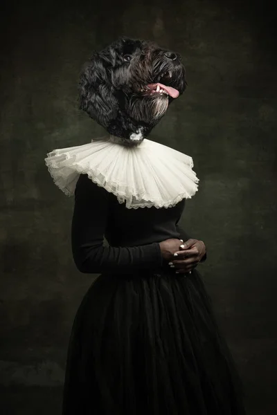 Ευγενή κυρία. Γυναίκα μεσαιωνικό πρόσωπο δικαιωμάτων σε vintage ρούχα με επικεφαλής το κεφάλι σκύλου απομονώνονται σε σκούρο ρετρό φόντο. Έννοια της σύγκρισης των εποχών, έργα τέχνης. Σουρεαλισμός — Φωτογραφία Αρχείου