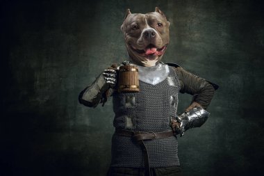 Ortaçağ şövalyeleriyle gerçeküstü sanat eserleri, köpeklerin başındaki savaşçı, zırhlı, eskimiş arka planda izole edilmiş. Dönem karşılaştırması, tarih. Çağdaş sanat kolajı