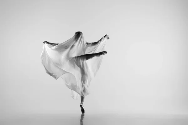 Portrait noir et blanc de gracieuse ballerine dansant avec du tissu, tissu isolé sur fond de studio gris. Grace, art, concept de beauté. apesanteur, flexible. — Photo