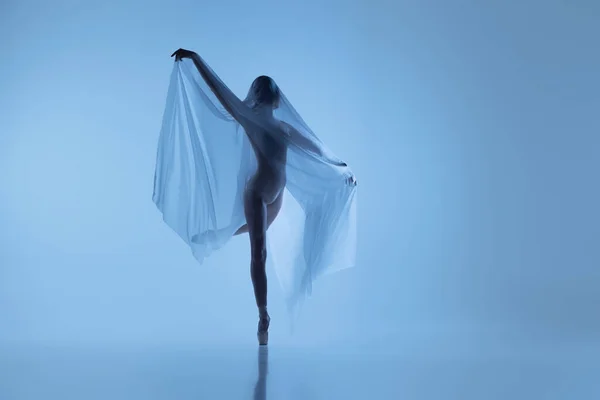Porträt einer flexiblen Frau, anmutige Ballerina, die mit Stoff tanzt, Stoff isoliert auf blauem Studiohintergrund. Anmut, Kunst, Schönheitskonzept. Schwerelos, zärtlich. — Stockfoto